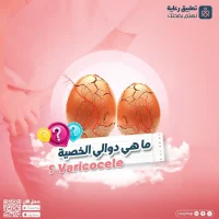 أفضل دكتور دوالي الخصية في صنعاء